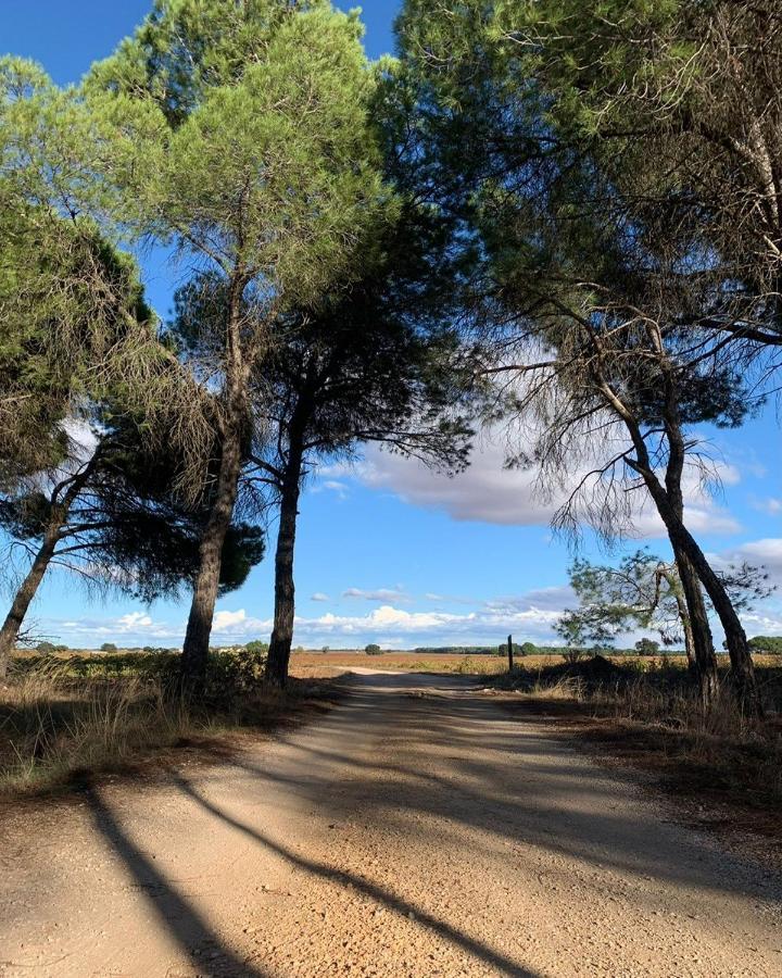 Casa Rural La Navarra Villarrobledo Esterno foto