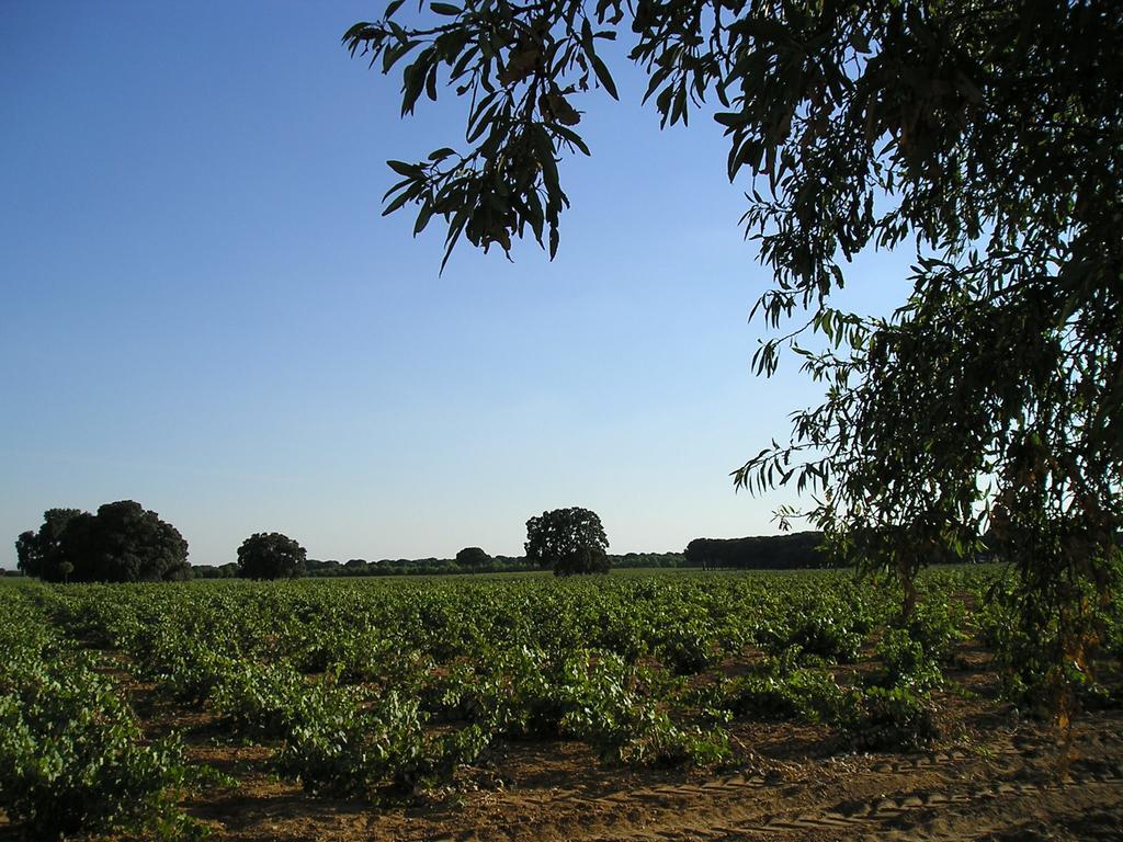 Casa Rural La Navarra Villarrobledo Esterno foto